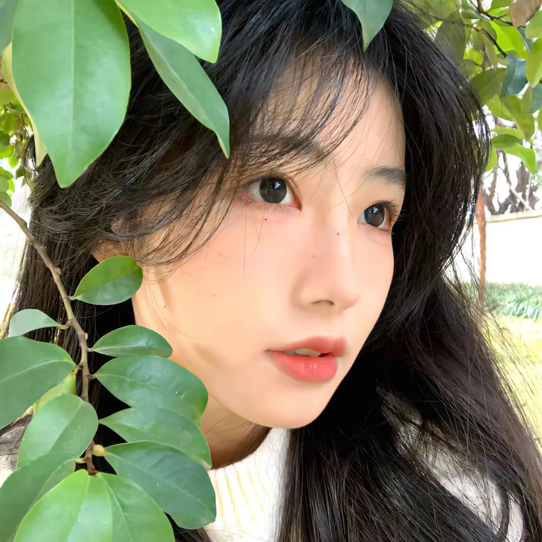 欲海群雌